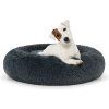 M dark grey dog