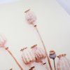 Designová dekorace na stěnu POPPY WOOD Ø 58 cm – minimalistický přírodní styl
