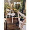 92361 30 hneda plastova zidle kato pro stylove posezeni