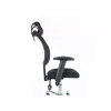 obrázek 2026 05 11 124425082