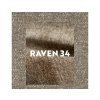 RAVEN 34