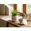Dvoudílná keramická sada květináče a nádobky NEST 10 cm, bílá v minimalistickém designu